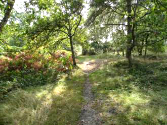 Photo of Shipwrights Way